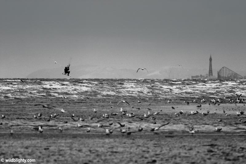 Kitesurfer at Ainsdale Beach with the famous Blackpool Big One Rollercoaster on the horizon