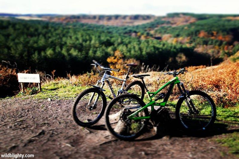 Cannock Chase Mountain Biking MTB Guide Wild Blighty