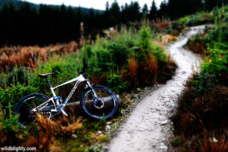 Llandegla mtb best sale blue trail