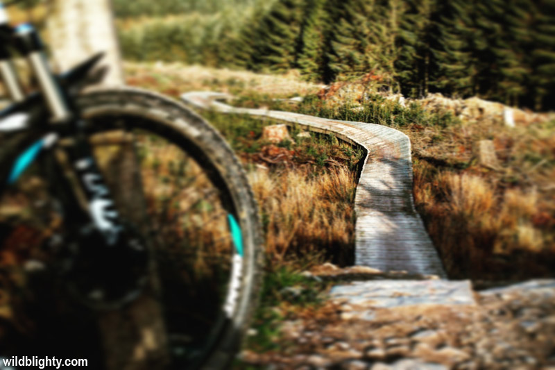 The boardwalk drop-in on the 'B-line' Black mountain bike trail at Coed Llandegla.