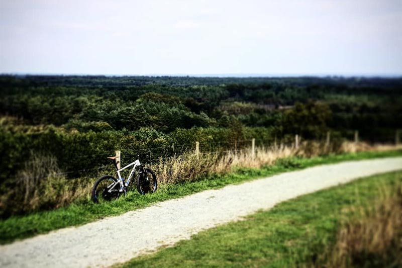 Mountain Biking on Old Pale Hill at Delamere Forest 