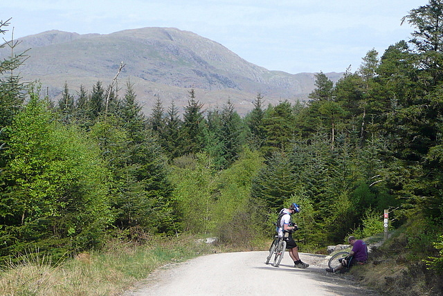 the north face mountain biking