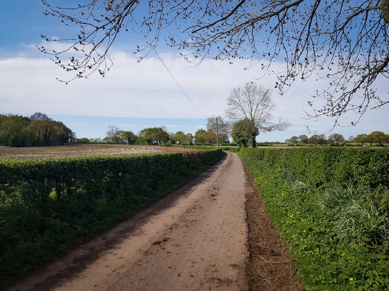 Tarmac farm track on the Delamere Way