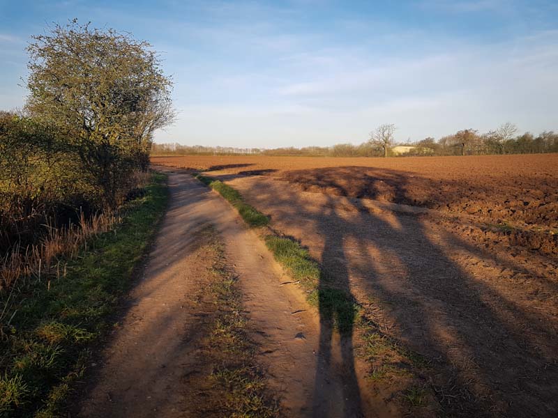 A farm track on the Delamere Way