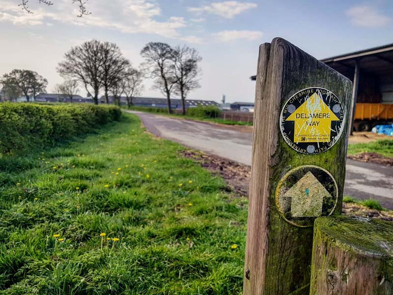 Way-mark along The Delamere Way