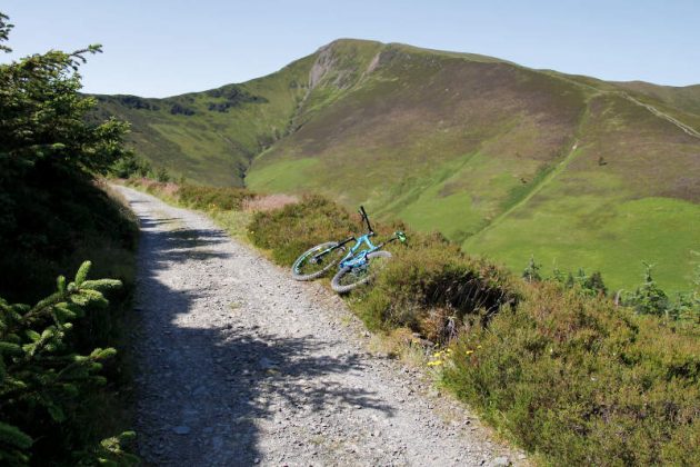 altura trail whinlatter