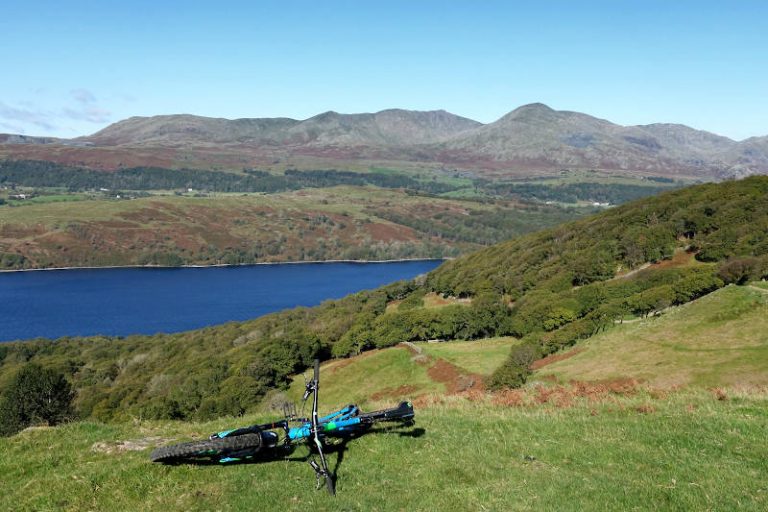 grizedale mtb