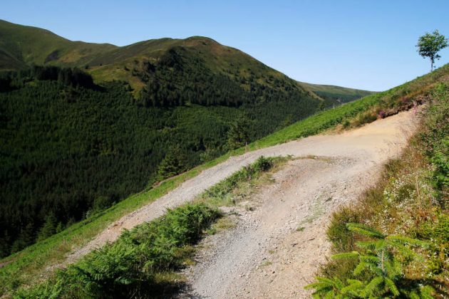 whinlatter mountain bike trails