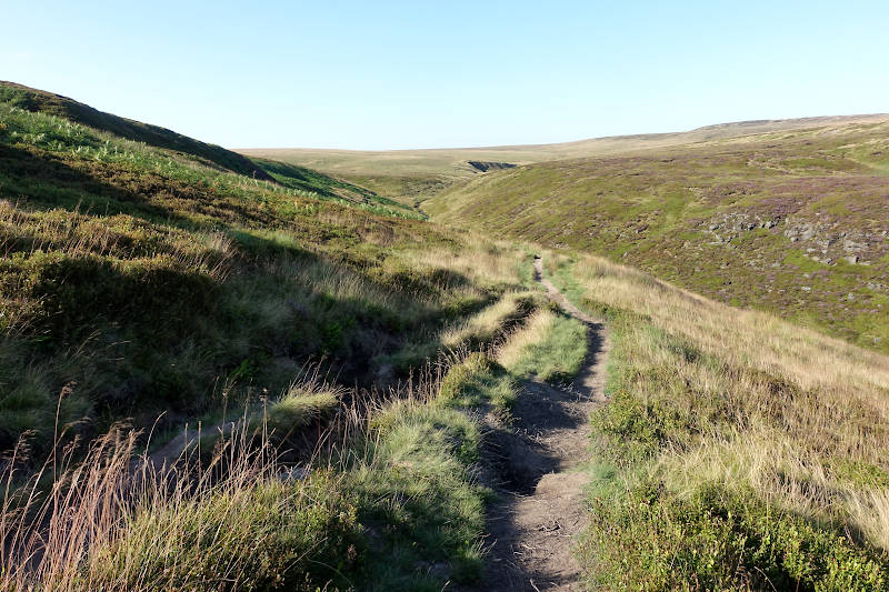 Path surrounded by moorland