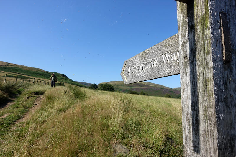 Pennine Way sign and moorland path.